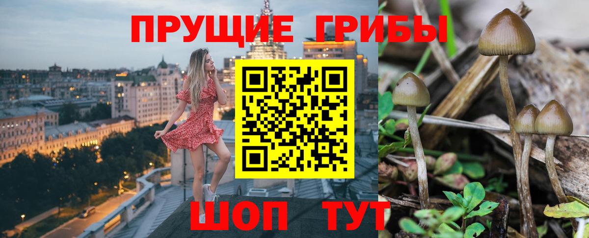 Псилоцибиновые грибы Psilocybine cubensis  Галлюциногенные грибы Magic Shrooms  Вход с VPN  Кызыл 